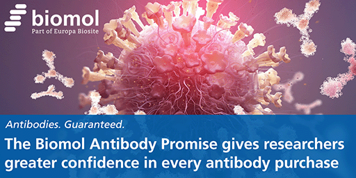 Antibody-Promise_Website_Banner_mobile_EN