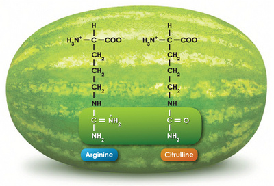 Citrullination and Autoimmunity