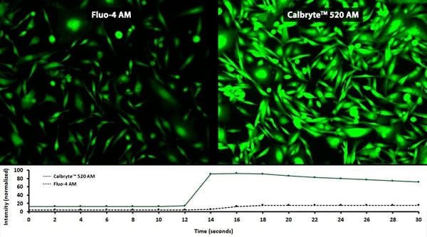 How to Select a Calcium Indicator?