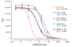 Indigo-EGFR1-Assay