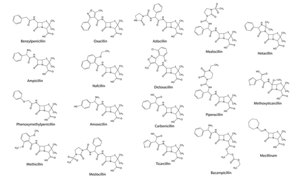 The First Therapeutic Use of Penicillin