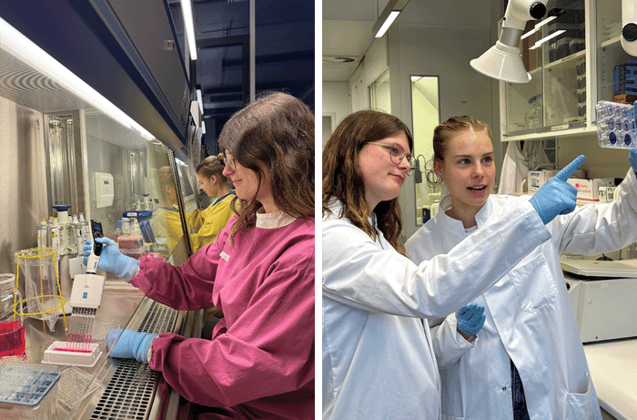 Virotherapie_Fig4