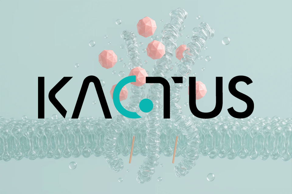 Virus-Like, Not Virus-Light: Functional and Safe VLPs for Your Research