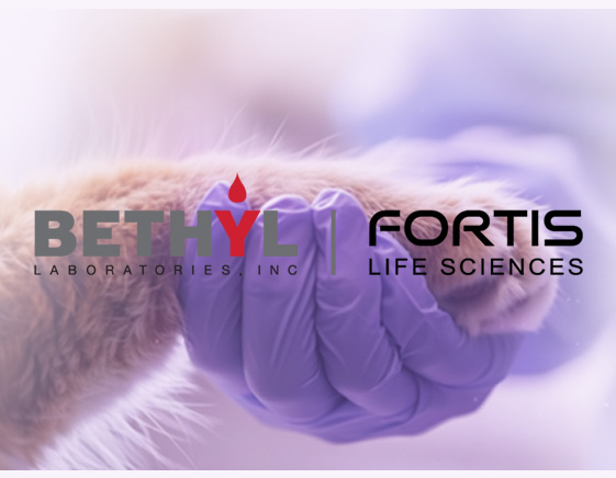 Paw-sitively Powerful: Veterinary Antibodies from Bethyl Laboratories