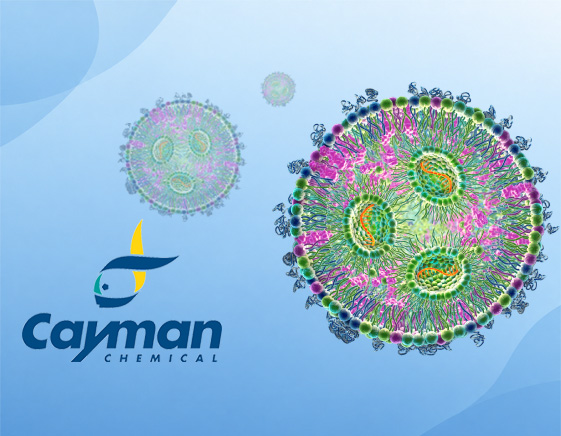 Fat-packed: Cayman LNPs deliver Biomolecules to their Target – Part 2