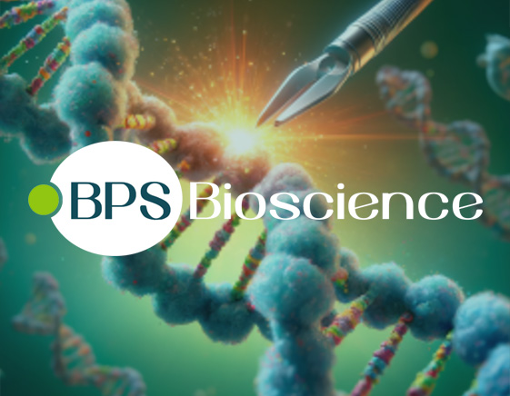 Surgery using Gene Scissors: Targeted Gene Modification with CRISPR