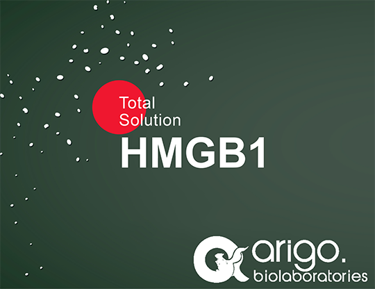 HMGB1 – A Protein with Many Faces