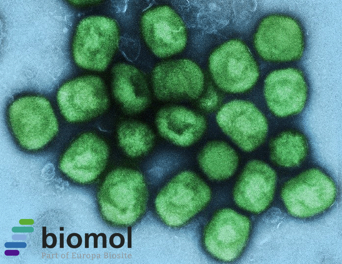 Mpox – On the Way to the Next Pandemic?