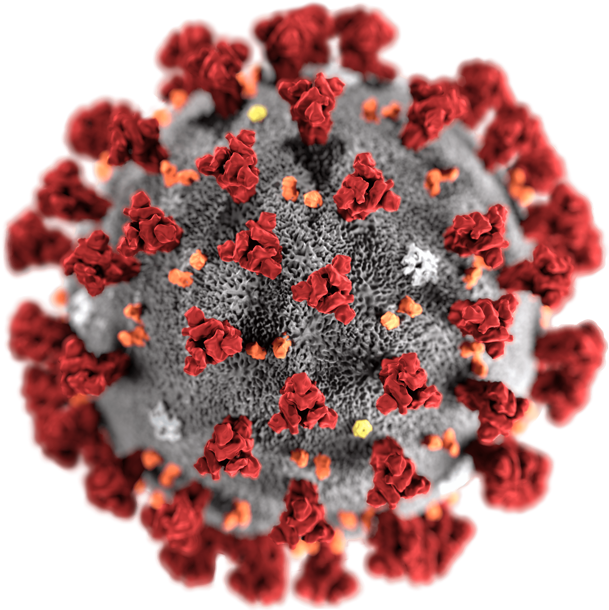 Using Existing Therapeutics Against COVID-19
