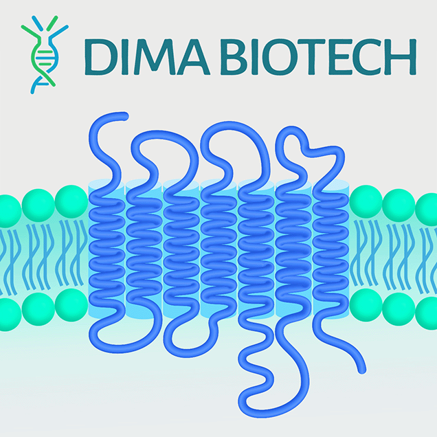 DiMPro™ Full-length Transmembrane Proteins from DIMA Biotechnology