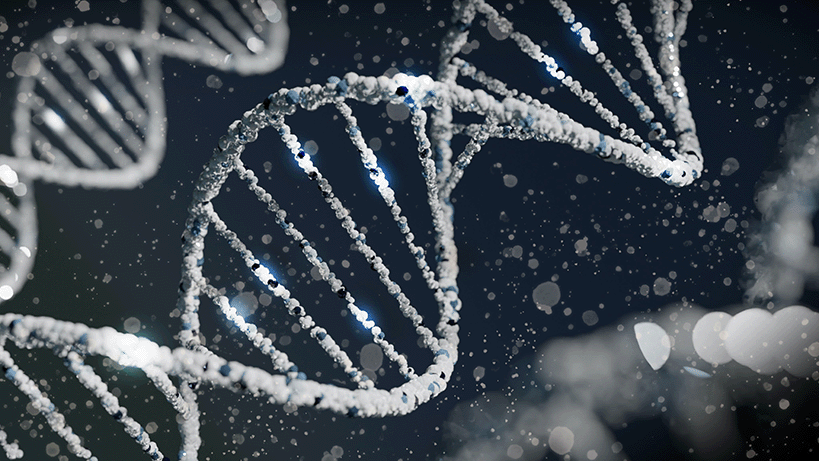 How Epigenetic Changes control our Genes