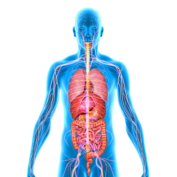 Biologically Active Peptides