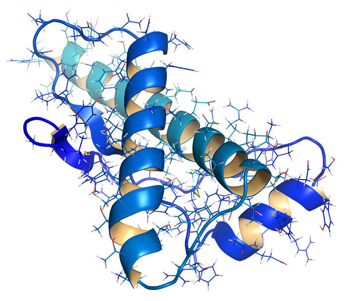 Creutzfeld Jacob Disease and BSE