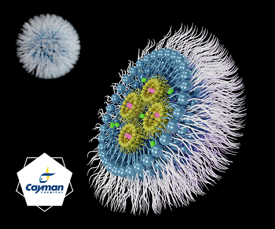 Lipid-based Drug Delivery Development with Cayman – Part 1