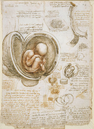 Induced Pluripotent Stem Cells