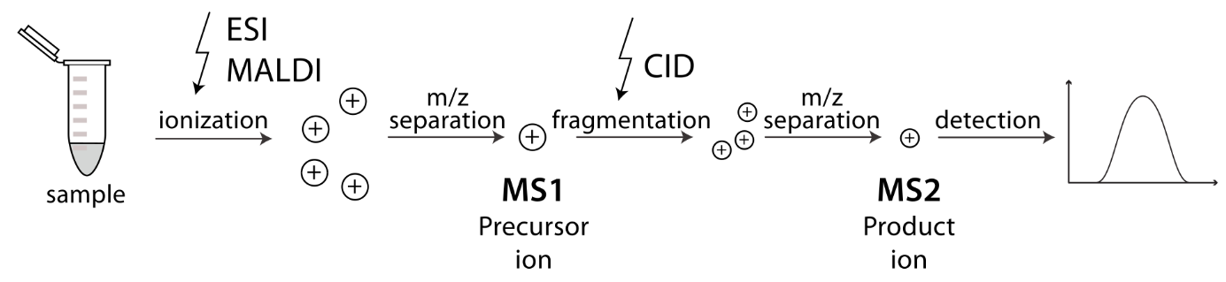 MassSpec_Figure2
