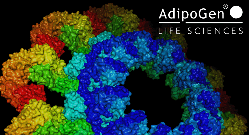 Burning Down the House: Gasdermins as Key Players in Inflammatory Processes and Cell Death