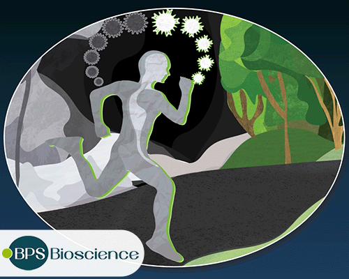 CAR-T Cells: The Pioneers of Immunotherapy