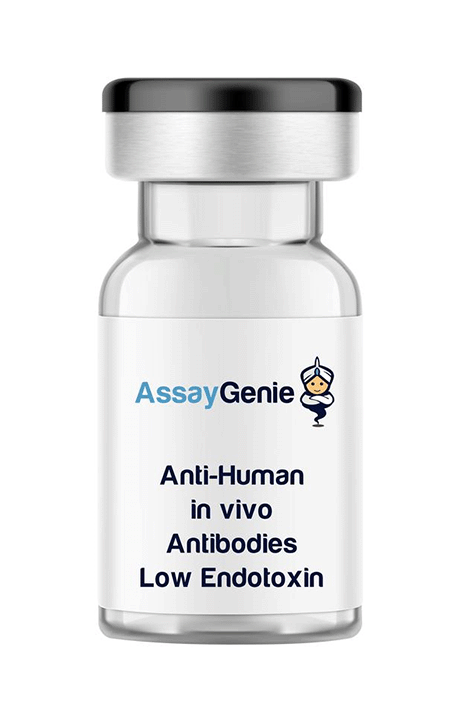 Accelerated in vivo Research with Assay Genie